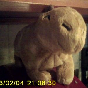 Meet your Posher, Bapoopie